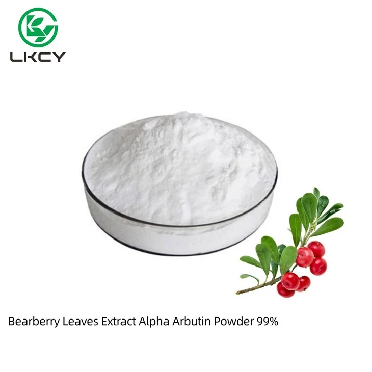 Ekstrak Daun Bearberry Bubuk Alpha Arbutin